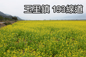 [影音]花東花海季-玉里193線道