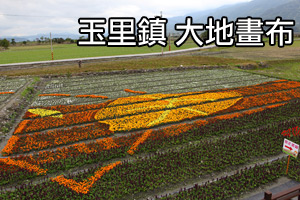 [影音]花東花海季-玉里大地畫布
