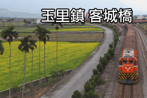 [影音]花東花海季-玉里客城橋