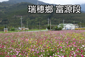 [影音]花東花海季-瑞穗富源
