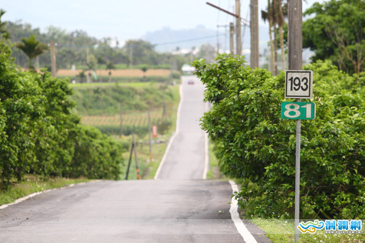 鶴岡文旦觀光果園