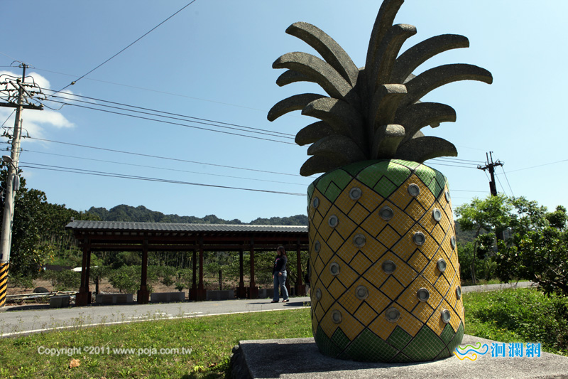 花蓮旅遊--花蓮縣瑞穗鄉富興社區